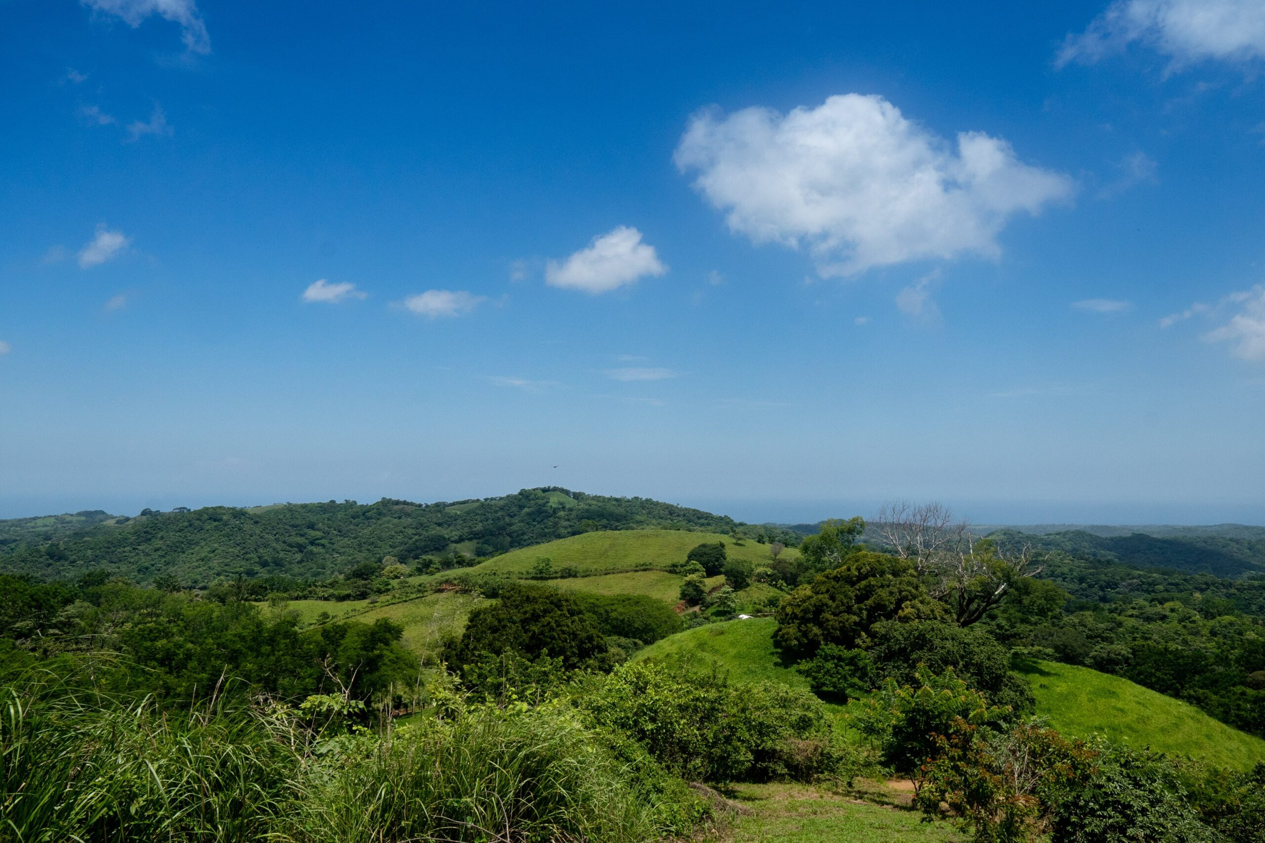 Eagle's Nest rolling hills